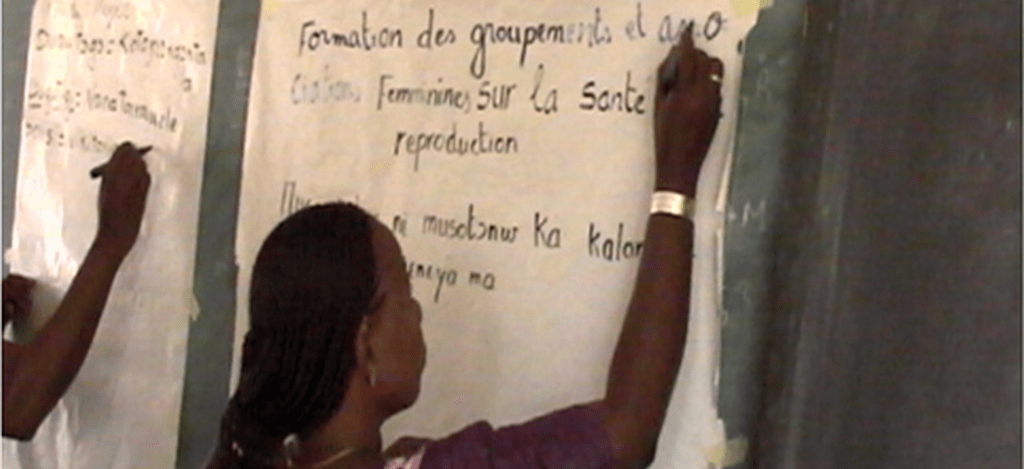 Gemeinsam gegen Genitalverstümmelung in Mali: Fortbildung zu Frauengesundheit, © AEES