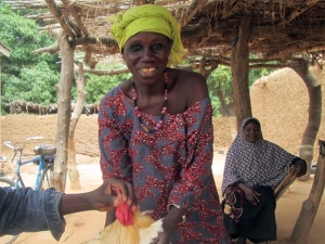 [Translate to French:] [Translate to English:] Die Frauen im Süden von Mali werden in Geflügelzucht geschult. © GRID